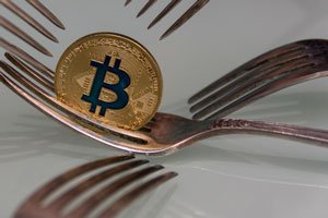 These Cryptocurrency Hard Forks Could Bring Gains of More Than 300%