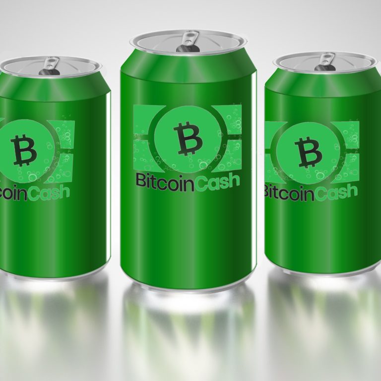 Bitcoin Cash Supporters Prepare for the Network’s Next Six Months – Bitcoin News