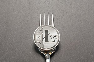 What to Do After the Litecoin Hard Fork