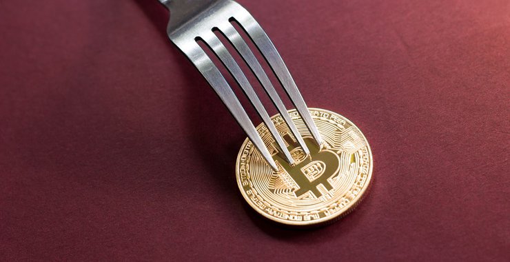 Here’s What to Do if You Had Bitcoin Cash on Top Crypto Exchanges Before the Fork | CryptoCoin Sheep