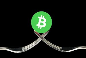 The Bitcoin Cash Hash War is Over. It Also Ended the BTC/BCH War.