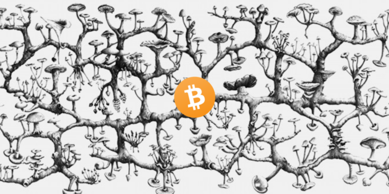 Bitcoin is a Social Creature (Mushroom) — Part 2/3 – Brandon Quittem – Medium