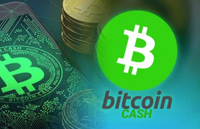 What Is Bitcoin Cash? – All You Need To Know About It