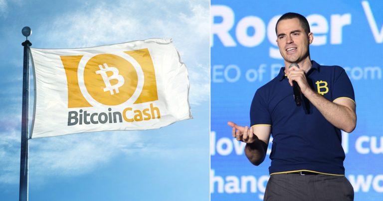 Roger Ver preaches about bitcoin cash: “One of the most compelling investment cases in the entire ecosystem” – Trijo News