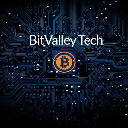 Brave New World: Browser Challenging Google for the Future of Privacy | BitValley Tech