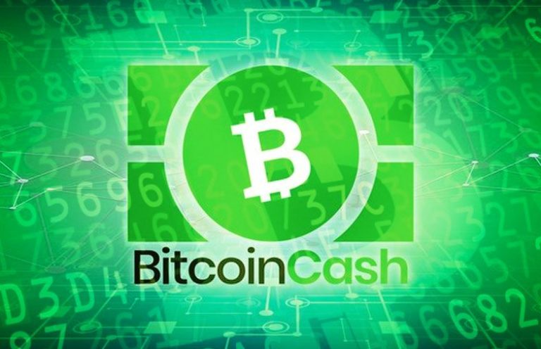 Bitcoin Cash Halving Official Done, Reward Cut in Half But BCH Price Is Flexing for Now