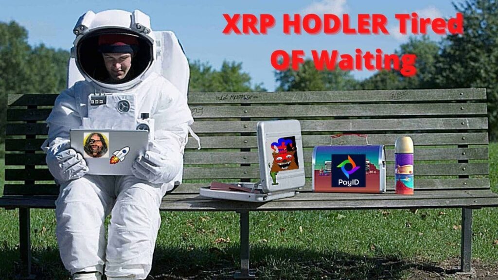 XRP Holder Tired of Waiting for the Moon