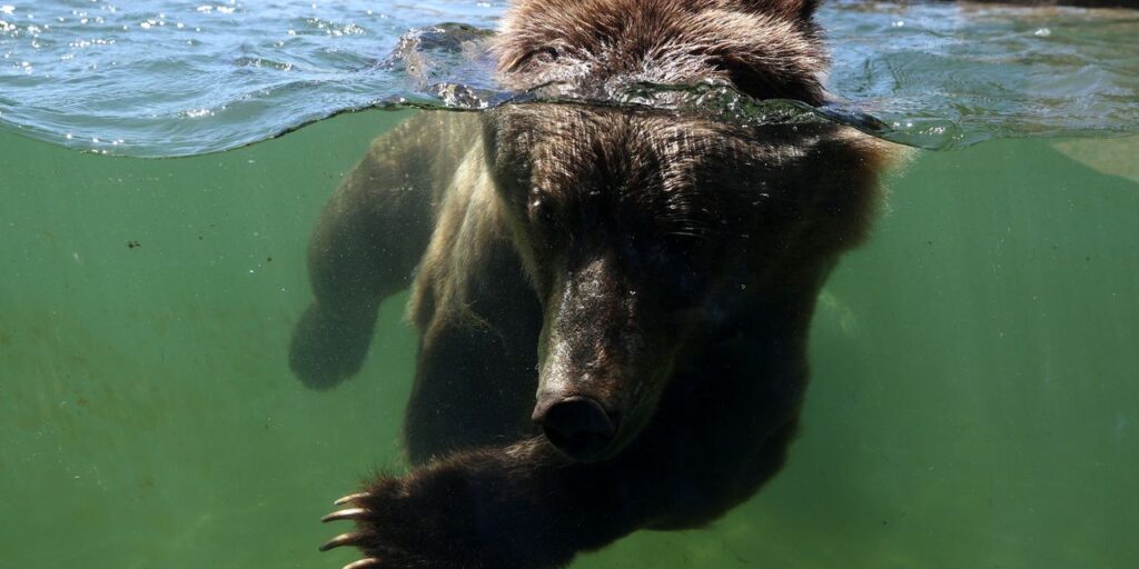 Need to Know: The second wave of a rolling bear market is about to begin, says top forecaster
