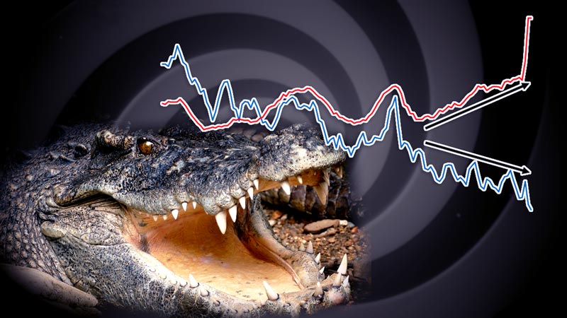 Beware of This “Crocodile” of Debt Deflation