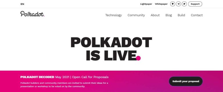 What Is Polkadot? Complete Guide & Review About Polkadot