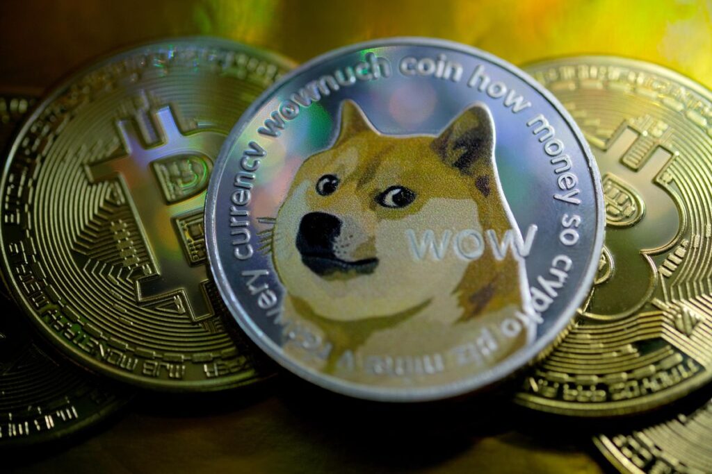 Dogecoin Tailspin: Price Drops Over 70% Following Reddit-Driven Surge