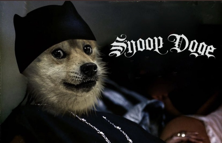 Dogecoin Rises More Than 36% After Snoop Dogg Becomes Snoop DOGE
