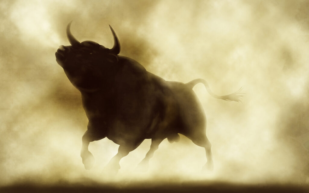 Crypto media runs with the bulls as new entrants compete against established brands