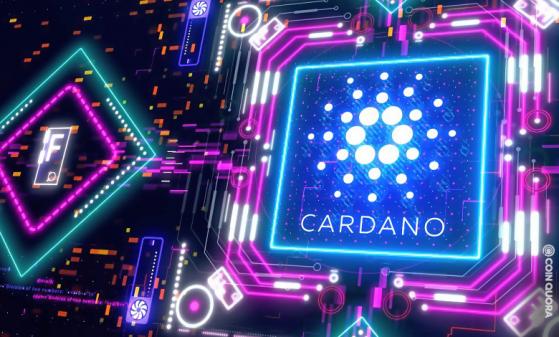Cardano Mary Hard Fork to Launch in Less Than 24 Hours By CoinQuora