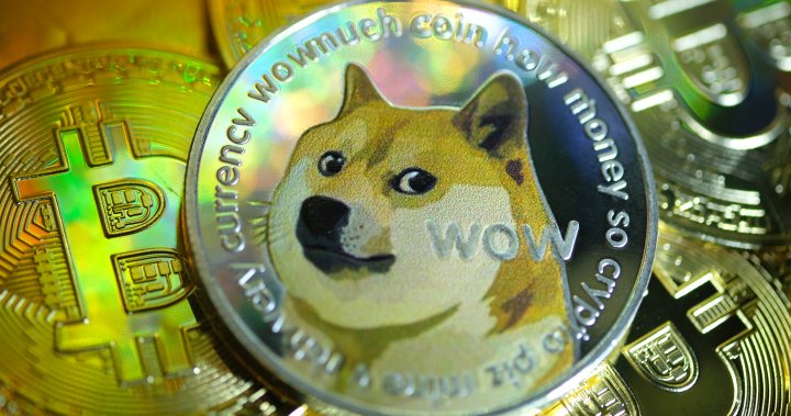 Dogecoin rallies ahead of Elon Musk’s SNL stint. Why is the cryptocurrency so popular?