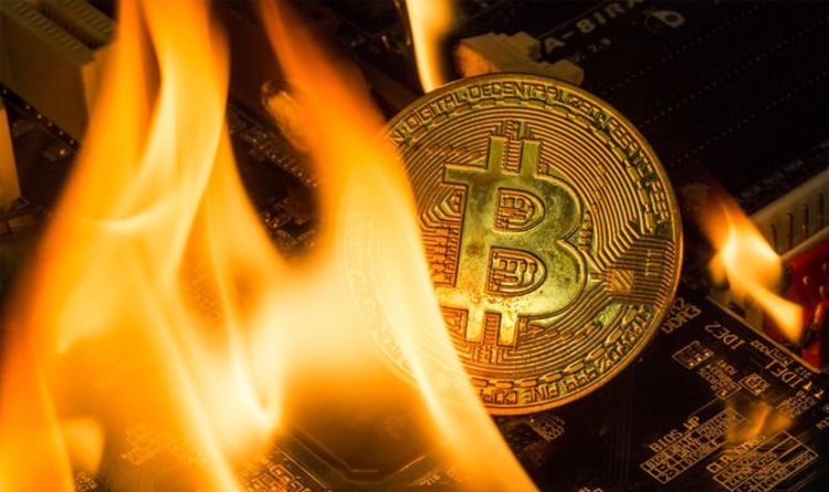 Bitcoin price crash: Cryptocurrencies plummet over bear market fears – Ethereum drops