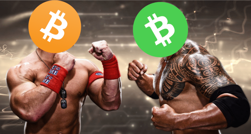 What is bitcoin cash and how it is different from bitcoin? – Blockcrunch