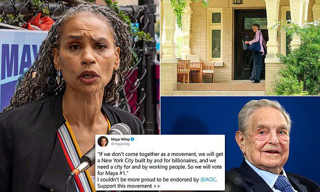 Maya Wiley received $500,000 from hedge-fund billionaire George Soros who bankrolled her for decades | Daily Mail Online