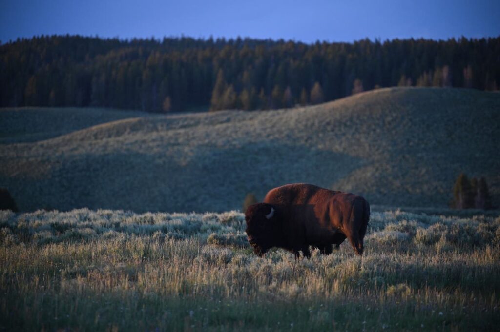 Bitcoin: How Wyoming become the unlikely cryptocurrency capital of America