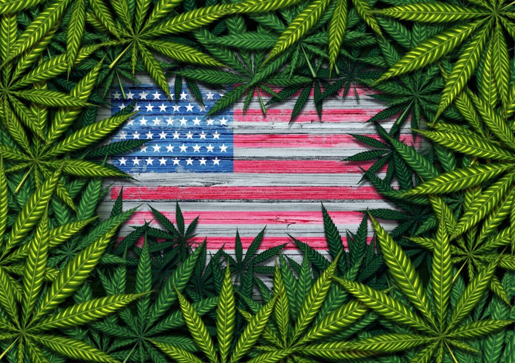 Federal marijuana reform plan is a ‘new beginning’: Canopy Growth CEO