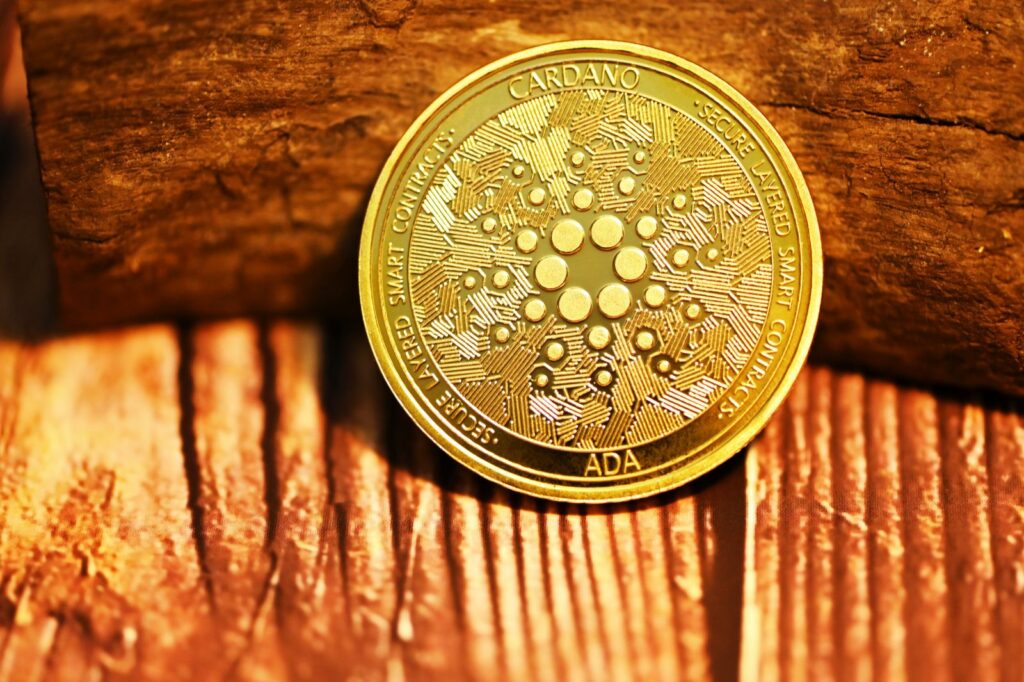 Cardano leapfrogs Bitcoin as eToro clients’ most-held cryptocurrency