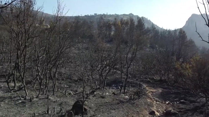 Watch: Drone footage shows wildfire devastation in northern Athens