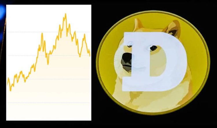 How high will dogecoin go? Experts pinpoint future for digital coin performance