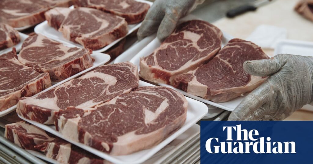 Meat wars: why Biden wants to break up the powerful US beef industry