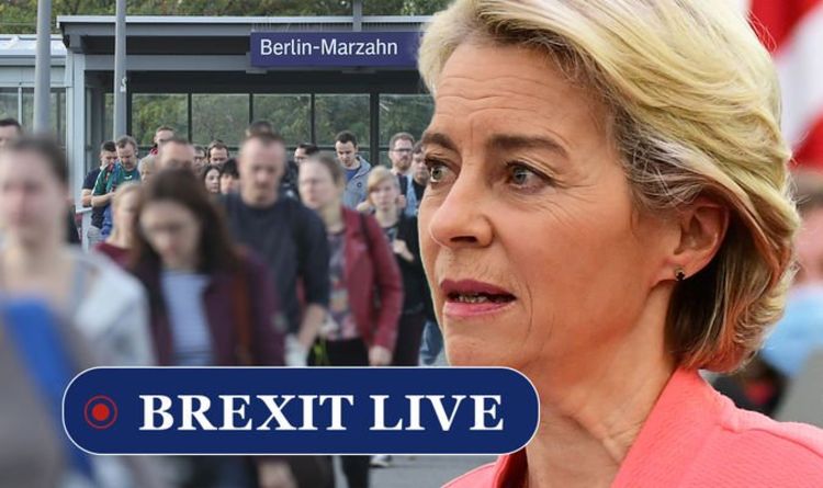 Brexit LIVE: Remainer uproar as imperial units return – ‘No idea what anything weighs!’