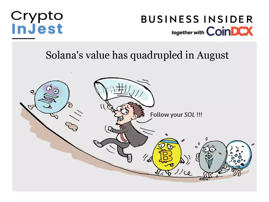 ‘Ethereum Killer’ Solana surges hits all time high — net worth surges to $30 billion | Business Insider India