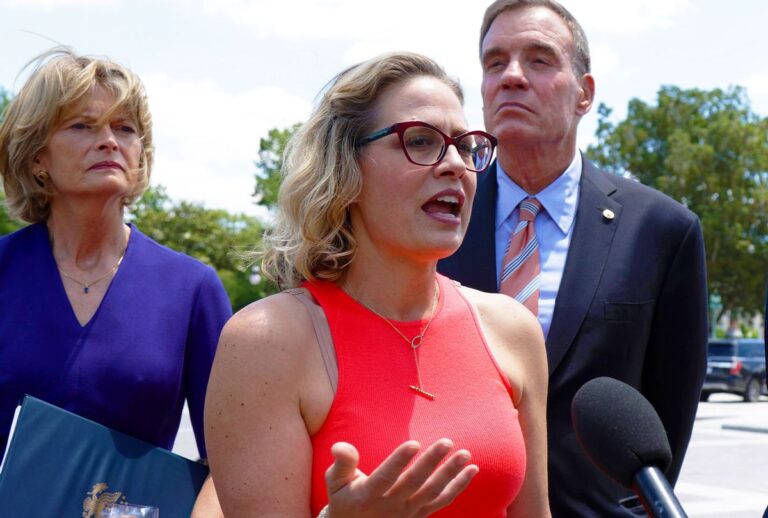Activists who helped elect Kyrsten Sinema launch CrowdPAC to fund a primary challenger