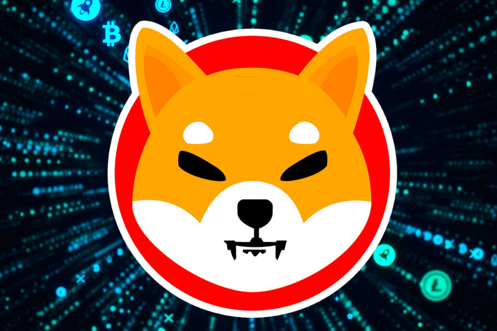What is Shiba Inu coin and why is the price going up? Investors warned about new cryptocurrencies