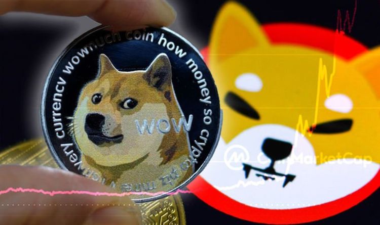 Shiba Inu price: Shiba wars IGNITE as SHIB speeds to landmark ranking against Dogecoin