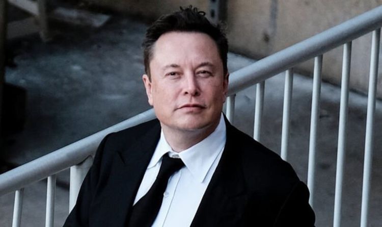 Elon Musk: The THREE questions investors should ask as Tesla CEO prompts SHIB surge