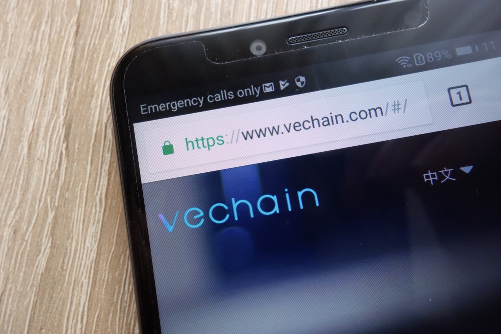 What are the advantages of the Vechain dual token strategy?