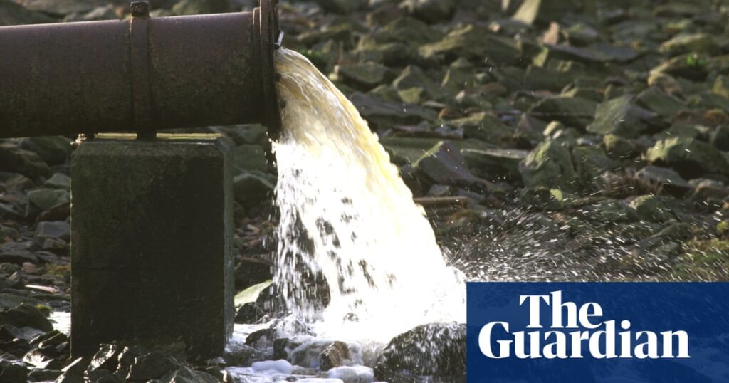 Sewage vote outcry prompts Tory MPs to defend decision on social media | Pollution | The Guardian