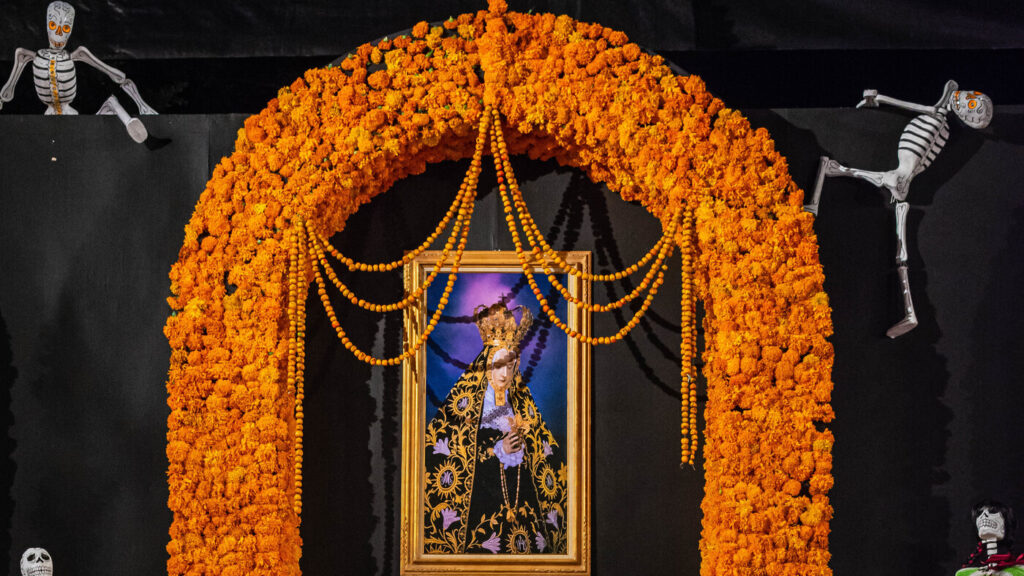Why marigolds, or cempasúchil, are the iconic flower of Día de los Muertos
