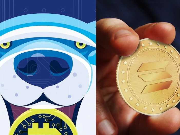 A tale of two altcoins: Shiba inu’s star fades, while solana shines, as investors favor real-use tokens | Currency News | Financial and Business News | Markets Insider