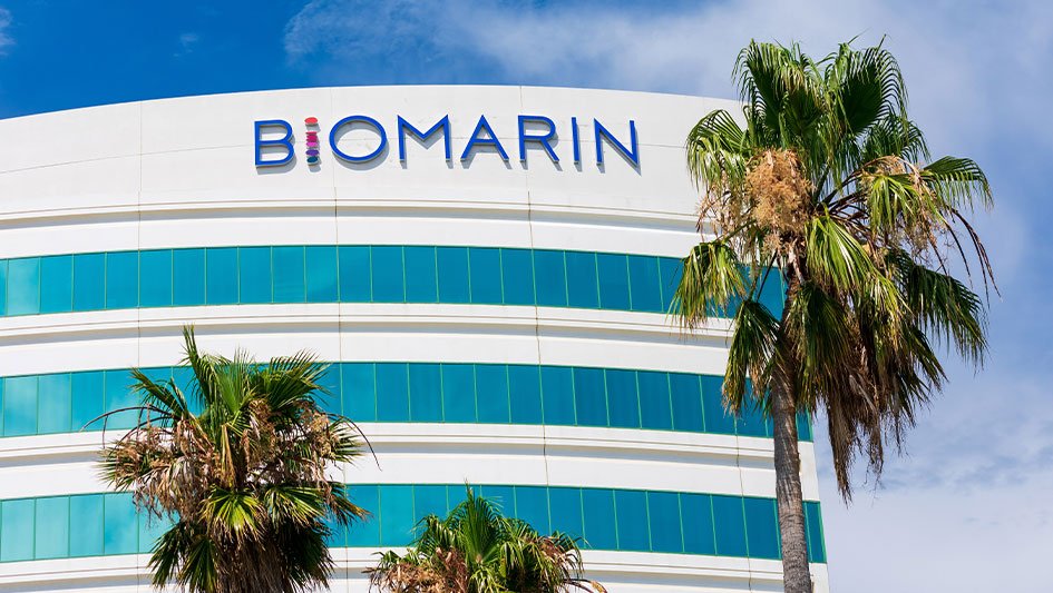BioMarin Stock Surges; Why Its Next Launch Could Be Among Its Biggest | Investor’s Business Daily
