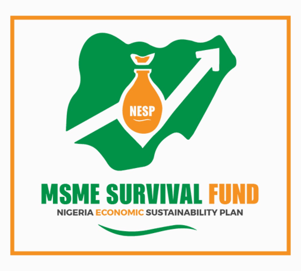FG Allots 76% of N75bn Survival Fund to MSMEs | Business Post Nigeria