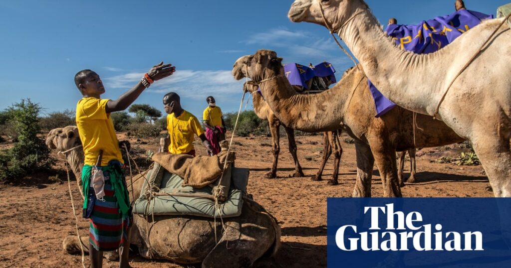 Camels bearing healthcare deliver hope in Kenya – photo essay | Global development | The Guardian