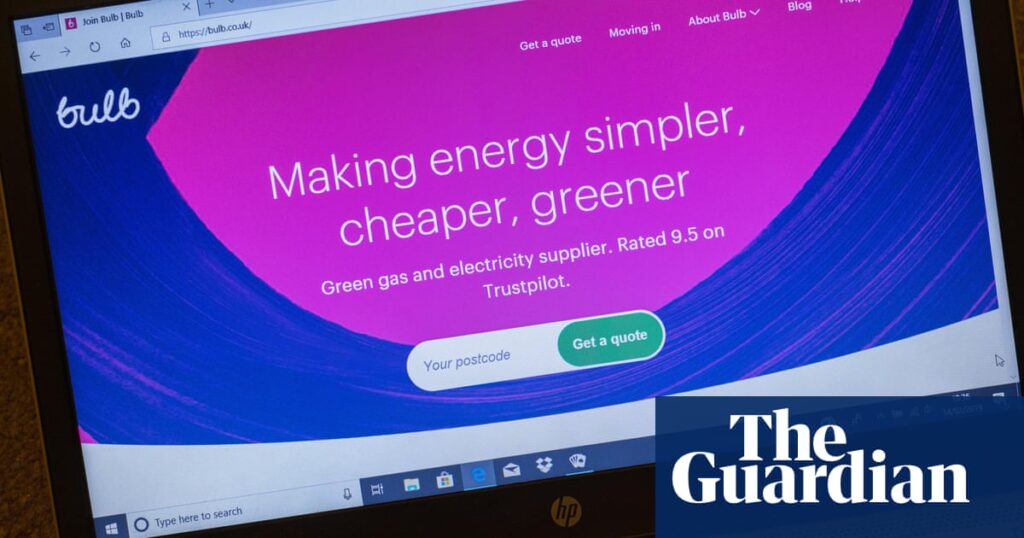 Government support to keep Bulb going could cost taxpayer up to £1.7bn | Business | The Guardian