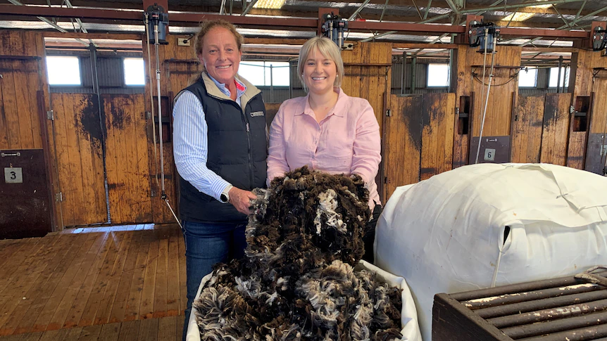 Black sheep have plenty of wool — and it’s hot property