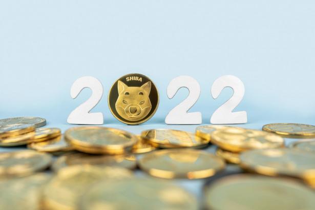 Shiba Inu Price Prediction For 2022