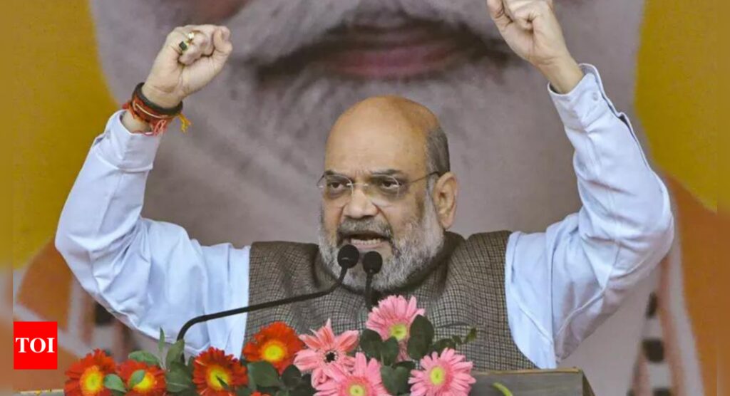 SP regime ordered firing at ‘kar sevaks’; Lord Ram stayed in tent for years: Shah in Ayodhya | India News – Times of India