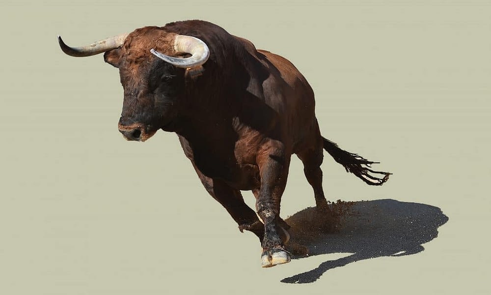 Best 7 Cryptocurrencies to Buy in Case of a Bull run this Weekend