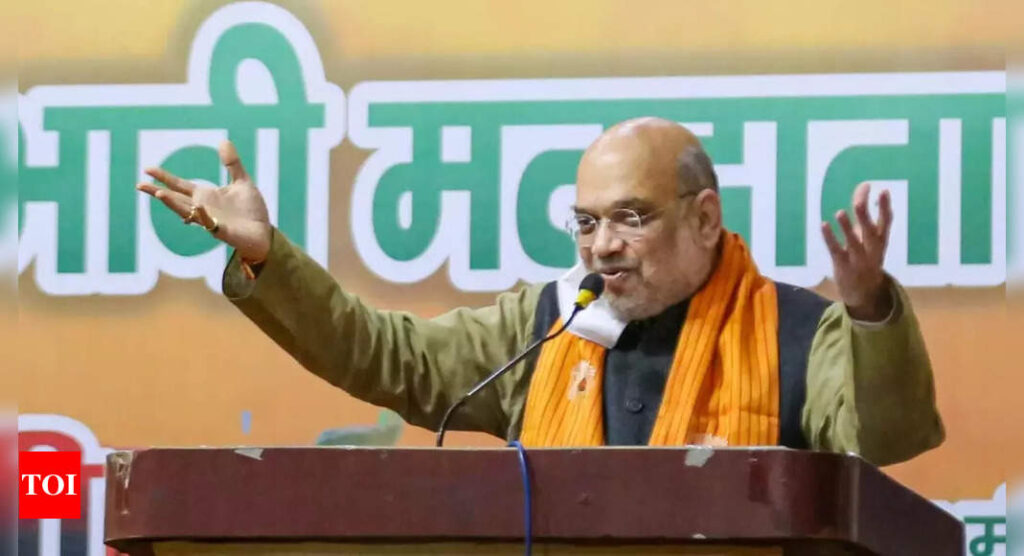 Jats, BJP share legacy of fighting Mughals, says Amit Shah | India News – Times of India