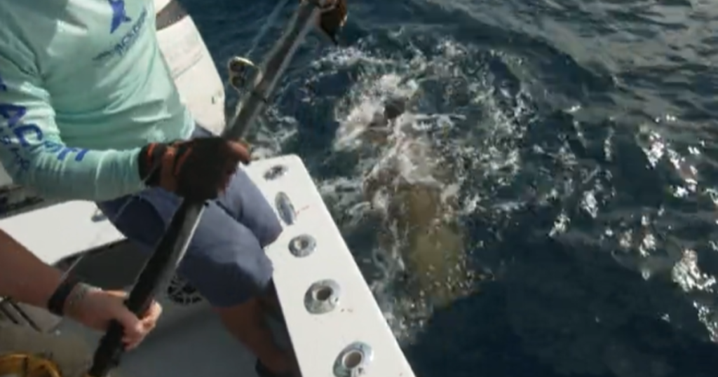 YouTube fishing star who reels in sea monsters: “I want to have a sustainable fishery” – CBS News