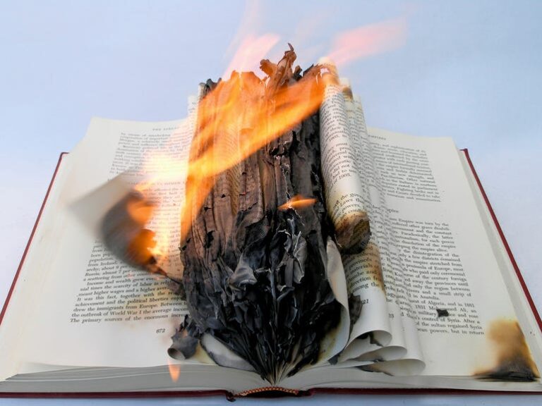Librarian’s lament: Digital books are not fireproof