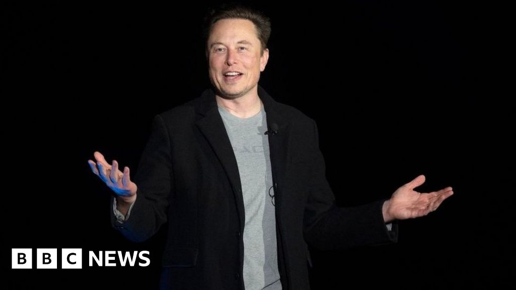 Elon Musk became father of twins last year, say reports – BBC News